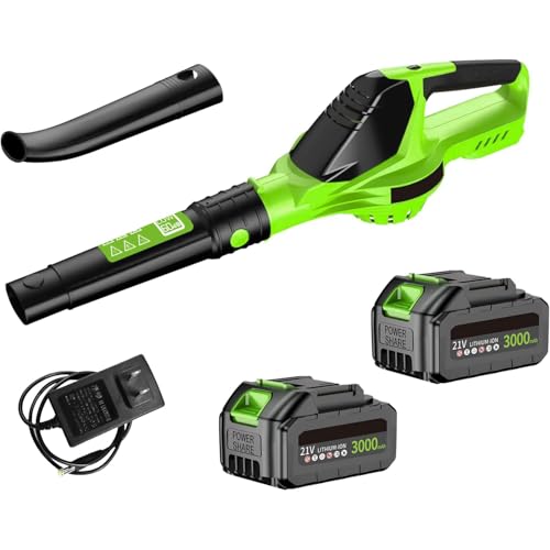Laubbläser, kabellos, 21 V, mit 2 Batterien, 5 Geschwindigkeitsstufen, leistungsstarker Laubsauger für die Rasenpflege, das Ausblasen von Schnee und Staubentfernung (grün) von RUICUBEI