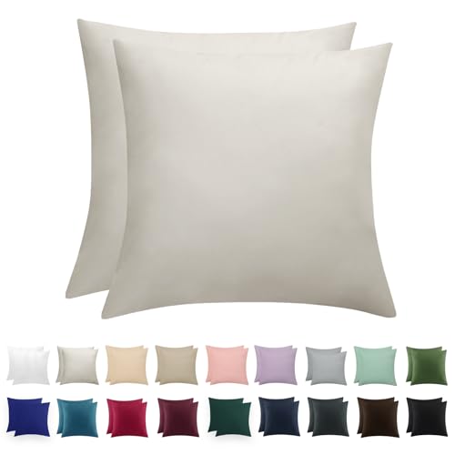 RUIKASI Kissenbezug 80 x 80 Beige 2er Set - Oeko Tex Kopfkissenbezug 80x80 Kissen Bezug 80x80cm mit Reißverschluss aus Mikrofaser, Polsterbezug Doppelpack Set Pillow Case Pillow Cover von RUIKASI