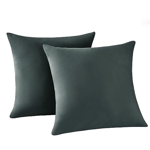 RUIKASI Kissenbezug 80 x 80 2er Grau - Kopfkissenbezug 80x80 Anthrazit Kissen Bezug 80x80cm mit Reißverschluss aus Mikrofaser, Polsterbezug Doppelpack Set Pillow Case Pillow Cover von RUIKASI