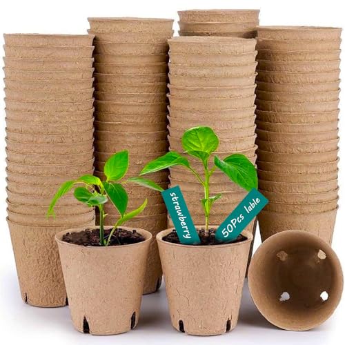 RUIOMII 102 PCS Abbaubare Anzuchttöpfe, 8 cm anzuchtschale anzuchttopf mit 50 Kunststoff Pflanzenmarker RUIOMII 102 PCS Abbaubare Anzuchttöpfe, 8 cm anzuchtschale anzuchttopf mit 50 Kunststoff Pflanzenmarker von RUIOMII