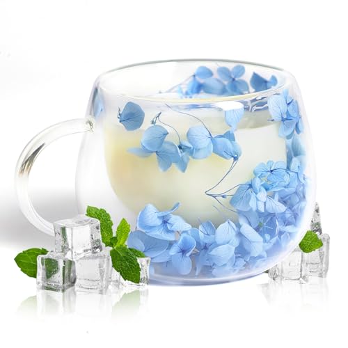 RUIOMII 300ml Getrocknete Blume Schöne Tasse, Doppelwandige Kaffeegläser mit Henkel, Geschenkideen für Frauen Schwester Mutter Ehefrau Lehrerin von RUIOMII
