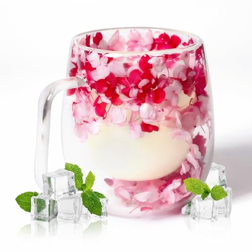 RUIOMII 370ml Doppelter Glastasse mit Blumen, Kaffeetassen Glas mit Henkel, Isolierte Kaffeetasse Geburtstag Geschenke für Mutter Freundin Lehrer von RUIOMII