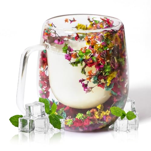 RUIOMII 370ml Doppelter Glastasse mit Blumen, Kaffeetassen Glas mit Henkel, Isolierte Kaffeetasse Geburtstag Geschenke für Mutter Freundin Lehrer von RUIOMII