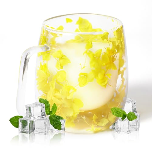 RUIOMII 370ml Doppelter Glastasse mit Blumen, Kaffeetassen Glas mit Henkel, Isolierte Kaffeetasse Geburtstag Geschenke für Mutter Freundin Lehrer RUIOMII 370ml Doppelter Glastasse mit Blumen, Kaffeetassen Glas mit Henkel, Isolierte Kaffeetasse Geburtstag Geschenke für Mutter Freundin Lehrer von RUIOMII