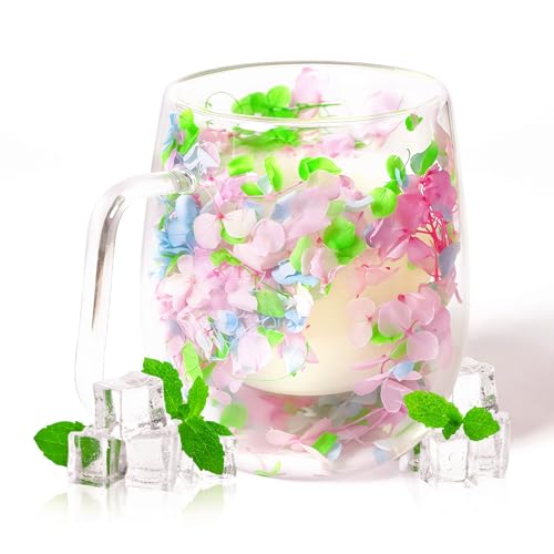 RUIOMII 370ml Doppelter Glastasse mit Blumen, Kaffeetassen Glas mit Henkel, Isolierte Kaffeetasse Geburtstag Geschenke für Mutter Freundin Lehrer von RUIOMII