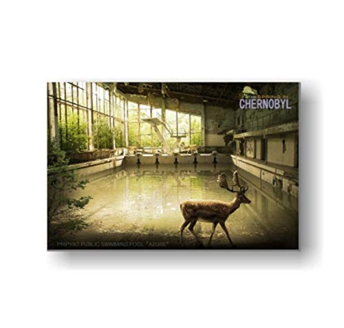 RUIYANMQ Tschernobyl Saison Poster Druck Wohnzimmer Wandkunst Malerei Poster Kunst Dekor Fd625Sz 40X60Cm Rahmenlos RUIYANMQ Tschernobyl Saison Poster Druck Wohnzimmer Wandkunst Malerei Poster Kunst Dekor Fd625Sz 40X60Cm Rahmenlos von RUIYANMQ