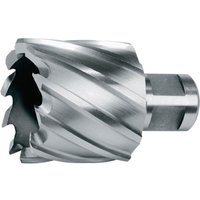 Ruko - Kernbohrer Weldon HSS-Co 5 ComPact ø 31 mm - 108231E Ruko - Kernbohrer Weldon HSS-Co 5 ComPact ø 31 mm - 108231E von RUKO