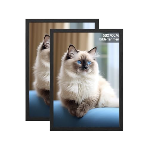 RUN HELIX 2 Pack Bilderrahmen 50x70, 50x70cm Bilderrahmen Schwarz, Aufhängbar, Posterrahmen für Wohnzimmer, Schlafzimmer, Arbeitszimmer von RUN HELIX
