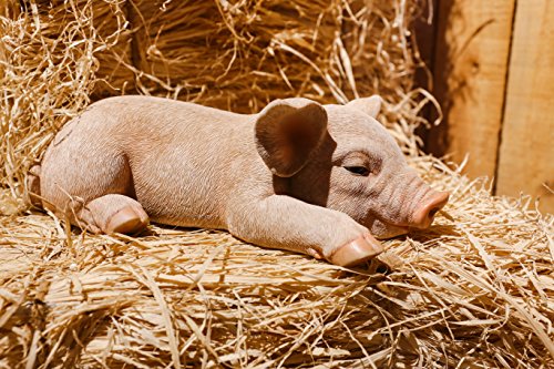 RUNADI Hi- Line Gift 87686-A Schwein Schlafende Statue RUNADI Hi- Line Gift 87686-A Schwein Schlafende Statue von RUNADI