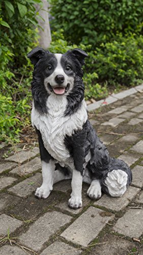 RUNADI Hi- Line Gift 87689 Dekofigur Border Collie sitzender Hund von RUNADI