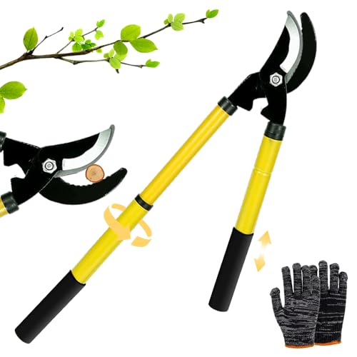 Astschere Teleskop Amboss 42-61cm, Baumschere Teleskop, Astscheren Bypass, Gartenarbeit Baumschere, Ast Schere Mit Rutschfeste Gummigriffe, Zum Schneiden Von Frischem Holz Bis Zum Ø Von 30 mm. von RURIZHONGTIAN