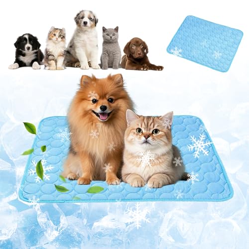 Kühlmatte für Hunde Katzen, Selbstkühlende Matte Katze,Hundekühlmatte Selbstkühlend,Kühldecke für Katzen Summer Pet Ice Pad,Die Innovative Kühlmatte Atmungsaktive EIS für,Fußboden,Hundebett Kühlmatte für Hunde Katzen, Selbstkühlende Matte Katze,Hundekühlmatte Selbstkühlend,Kühldecke für Katzen Summer Pet Ice Pad,Die Innovative Kühlmatte Atmungsaktive EIS für,Fußboden,Hundebett von RURIZHONGTIAN