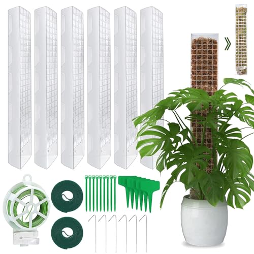 Moosstab Rankhilfe 6 Stück 61cm, Rankhilfe Zimmerpflanzen, Rankhilfe Monstera, Rankstab Monstera, Mit 6 Erdspieße, 2 Klettbändern, 30m Garten Drehbinder, 10 Pflanzenetiketten und 10 Kabelbinder. von RURIZHONGTIAN
