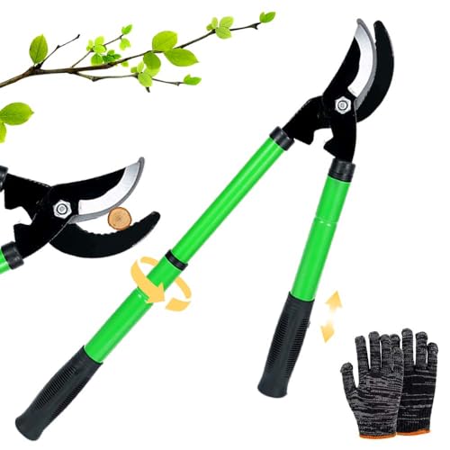 Astschere Teleskop Amboss 42-61cm, Baumschere Teleskop, Astscheren Bypass, Gartenarbeit Baumschere, Ast Schere Mit Rutschfeste Gummigriffe, Zum Schneiden Von Frischem Holz Bis Zum Ø Von 30 mm. von RURIZHONGTIAN