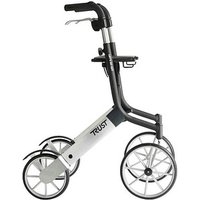 RUSSKA Rollator let's go out 11449010 silber, 1 St. RUSSKA Rollator let's go out 11449010 silber, 1 St. von RUSSKA