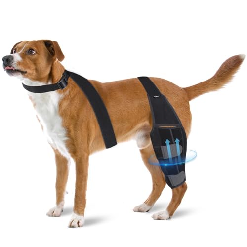 RUYICZB Knieorthese Für Hunde Bei Gerissenem Vorderen Kreuzband Am Hinterbein, Verstellbare Hinterbeinorthese Für Hunde Mit Halsband Und Seitlichen Stabilisatoren, Reduziert Gelenkschmerzen,M RUYICZB Knieorthese Für Hunde Bei Gerissenem Vorderen Kreuzband Am Hinterbein, Verstellbare Hinterbeinorthese Für Hunde Mit Halsband Und Seitlichen Stabilisatoren, Reduziert Gelenkschmerzen,M von RUYICZB