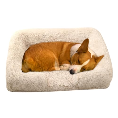 RUYICZB Orthopädisches Hundebett Grosse Hunde, Hundekissen, Hundesofa Mittelgroße Hunde, Katzenbett, Hundekörbchen, Anti-Angst Hundekorb, Abnehmbar Und Waschbar,Beige,M 23.6X18.9X6in RUYICZB Orthopädisches Hundebett Grosse Hunde, Hundekissen, Hundesofa Mittelgroße Hunde, Katzenbett, Hundekörbchen, Anti-Angst Hundekorb, Abnehmbar Und Waschbar,Beige,M 23.6X18.9X6in von RUYICZB