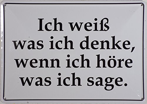 Blechschild 10x15 cm "Ich weiß was ich denke" Spruch Sprüche Sign Blechschilder Schild Schilder 049 von RV