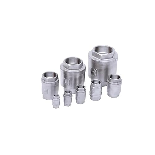 1PC 1" Stainless Steel SS304 vertical lift In Line Spring Check Valve DN25 von RVBLRDSE