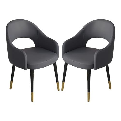 RVGVPMAMTZ Modernes Esszimmerstuhl-Set, 2er-Set, bequemer Lederstuhl mit schmiedeeisernen Beinen, Küchenbarstuhl, Wohnzimmer-Eckstuhl, lässiger Empfangsstuhl mit hohler Rückenlehne F RVGVPMAMTZ Modernes Esszimmerstuhl-Set, 2er-Set, bequemer Lederstuhl mit schmiedeeisernen Beinen, Küchenbarstuhl, Wohnzimmer-Eckstuhl, lässiger Empfangsstuhl mit hohler Rückenlehne F von RVGVPMAMTZ
