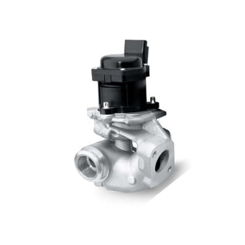 EGR-Ventil Abgasrückführung Fit für Citroen Berlingo Xsara Picasso C3 I C4 C5 Jumpy 1618NR 161859 1338675 1439414 von RVIFY
