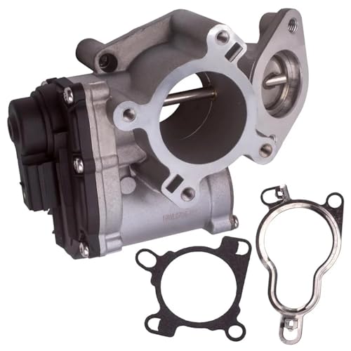 EGR-Ventil passend für Renault Espace MK IV 2006-2014 MPV 2.0 DCi 8200693739 8200691292 93161578 93198005 von RVIFY