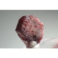 Eudyalit Feiner Kristall Aus Lovozero, Russland Selten von RVMinerals