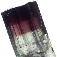 Foitit Zweifarbiger Lila-Bläulicher Turmalin Aus Alto Da Cabeca, Brasilien Foitit Zweifarbiger Lila-Bläulicher Turmalin Aus Alto Da Cabeca, Brasilien von RVMinerals