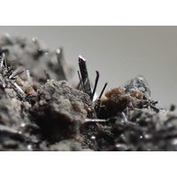 Selen Feine Kristalle Auf Matrix Aus Radvanice, Tschechien Sehr Selten von RVMinerals