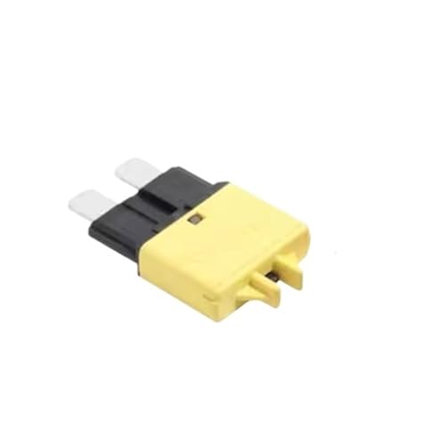 Kransicherung 5A 7,5A 10A 15A 20A 25A 30A 28VDC(20A) von RVUYMDZR