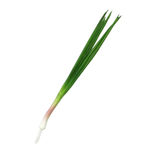 Attraktive simulierte Knoblauchknospe/grüne Zwiebel, gefälschtes Modell, Restaurant, Foto, Requisite von RWAJZAX