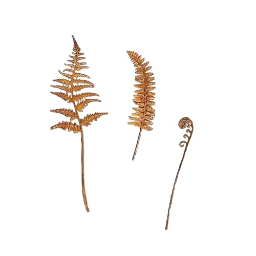 RWAJZAX Rusty Stake Farne Blätter Statue Baum Mit Realistischen Verrosteten Blättern Für Und Garten Parterre Verbesserung Blattgarten Stakes RWAJZAX Rusty Stake Farne Blätter Statue Baum Mit Realistischen Verrosteten Blättern Für Und Garten Parterre Verbesserung Blattgarten Stakes von RWAJZAX