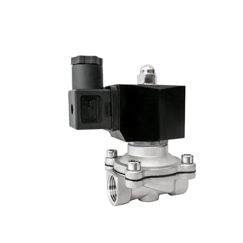 1/2 elektrisches Magnetventil 12V 220V 24V Niederdruck 304 Edelstahl 1Pcs(BSP_120VAC) von RWGBSFJQ