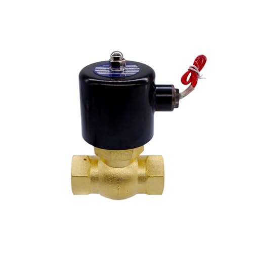 2-Wege-Betrieb Dampf 3/4 Zoll Magnetventil 12 V normalerweise geschlossen 1 Stück(BSP_24VDC) von RWGBSFJQ