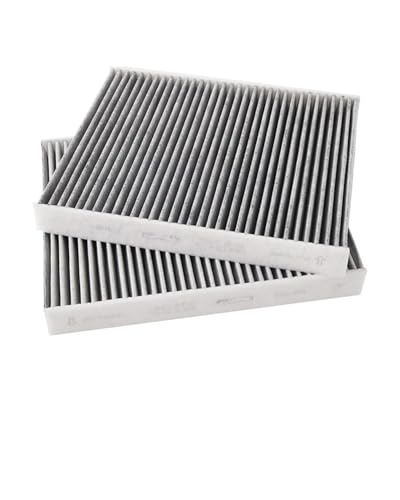 RWRAPS Innenraumfilter Für F10 F11 F30 525 530 316i 318i 320i 3 5 Serie Auto Pollen Cabin Air Filter Auto Klima Control Gase Ersetzen Zubehör Innenraumfilter mit(for F10 F11 Pair) von RWRAPS