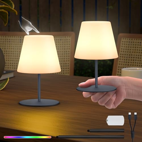 RWWR 2er Set LED Akku Tischlampe kabellos Mini Kleine dimmbar 8 Farben USB-C aufladbar für Wohnzimmer Balkon Patio Terrasse RWWR 2er Set LED Akku Tischlampe kabellos Mini Kleine dimmbar 8 Farben USB-C aufladbar für Wohnzimmer Balkon Patio Terrasse von RWWR