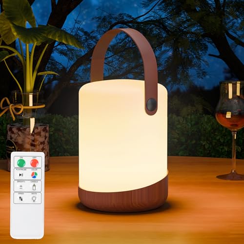 RWWR Solar Lampe Outdoor LED 2-in-1 Aufladung LED tischleuchte Akku Tischlampe kabellos mit Fernsteuerung 8 Farben Dimmbar IP44 für Terrasse Camping Garten Balkon (E) von RWWR