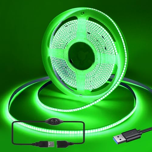 RYE USB 2m 5V COB LED grüner Lichtband, 320LED/M, Flexibles Lichtband für TV Monitor Hintergrundbeleuchtung, Spiegel, Schrank, Garderobe, Kabinett DIY Beleuchtung mit 5V2A Controller von RYE