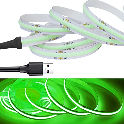 RYE USB-betriebenes 5 V COB-LED-Lichtband, 1,0 m x 320 LEDs/m, grün, weich, punktlos, für Fernseher, Monitor, Unterschrank, Küche, Kleiderschrank, Treppe, Hintergrund, Umgebung, DIY-Beleuchtung von RYE