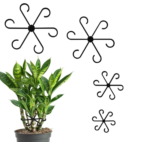 RYMAUP 16 Stück Pflanzenstütze Strauchhalter Pflanzenhalter Pflanzenstützen mehrere Größen Gartenstützring Pflanzenclips zur Unterstützung für Topfpflanzen Blumen Tomaten von RYMAUP