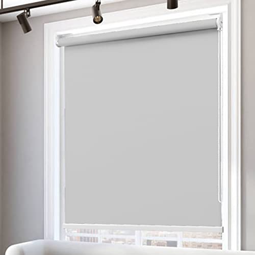 RYNS Verdunkelungsrollo Seitenzugrollo 80x250cm 99% Schattentuch Mit Ösen Wasserdicht Thermorollo Sichtschutz Doppelrollo Fensterrollo für Fenster und Sichtschutz, Hellgrau von RYNS