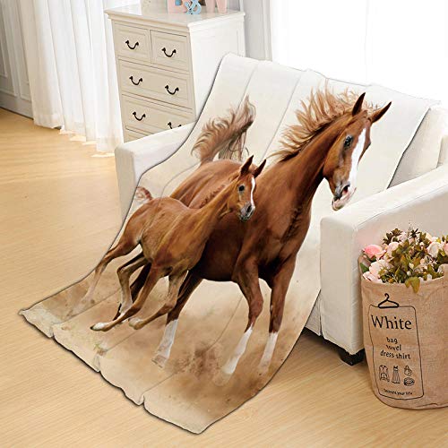 RYQRP Flanelldecke Pferd Wohndecke Supersoft Couchdecke Kuscheldecke Fleecedecke Super Weiche Wohndecke Sofadecke Reisedecke 150cm x 200cm von RYQRP