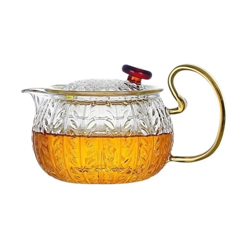 RYUQW3RE Teekessel Teekanne aus Glas mit Teesieb – hitzebeständig for die Teezubereitung zu Hause und im Büro(S) von RYUQW3RE