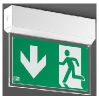 RZB LED-Sicherheitsleuchte 672420.002 von RZB ZIMMERMANN