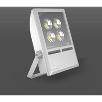 RZB 722142.114.1.76 LED-Strahler-Modul von RZB