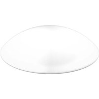 RZB Ersatzglas opal-mt D370mm 05-211059.002 RZB Ersatzglas opal-mt D370mm 05-211059.002 von RZB
