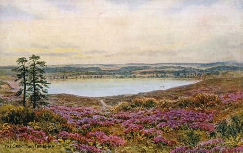 RZHRHJES Kunstwerk Bilder Leinwand Kunst Gemälde Leinwand Malerei Poster der Große Teich Frensham von Alfred Robert Quinton Wandbild für Heimdekoration 60x90cm von RZHRHJES