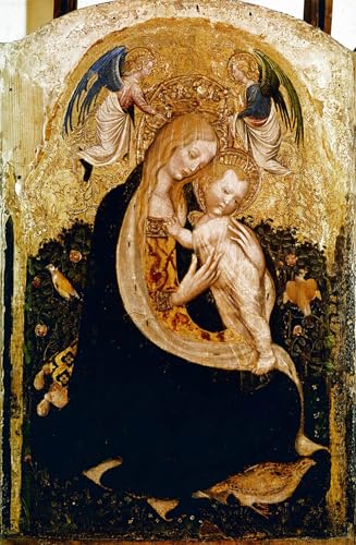 RZHRHJES Leinwand Poster Wandbilder Leinwandkunst Drucken Modern Wandbilder Die Dame hat Wachtel Detrempe auf Holz von Pisanello von Antonio Pisanello Kunstdruck Leinwand für Wohnzimmer-Dekor 60x90cm RZHRHJES Leinwand Poster Wandbilder Leinwandkunst Drucken Modern Wandbilder Die Dame hat Wachtel Detrempe auf Holz von Pisanello von Antonio Pisanello Kunstdruck Leinwand für Wohnzimmer-Dekor 60x90cm von RZHRHJES