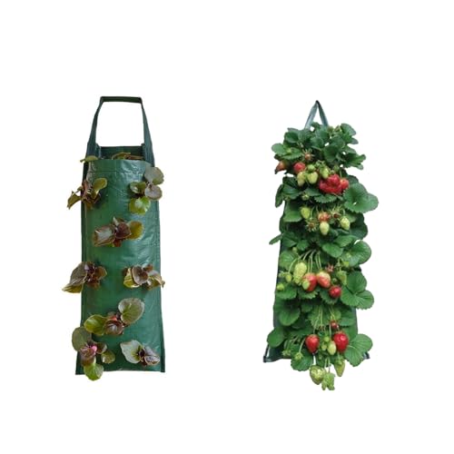 RZXBB 2 Stück Erdbeeren Pflanzsack- Hängend Pflanzen Tasche Pflanzbeutel Für Erdbeeren Und Kleingemüse - Grow Tasche Mit Griffe Und 8 Seitliche Anbautaschen Pflanzsäcke Für Knoblauch Zwiebeln Kräuter von RZXBB