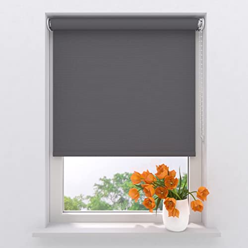 Radeco® Lichtdurchlässiges Rollo 80 x 190 cm grau, Größen von 40 bis 240 Breite, ohne Bohren möglich, Rollo wandmontage, Rollo 80 cm breit, Fenster rollos für innen, rollos für Fenster von RADECO